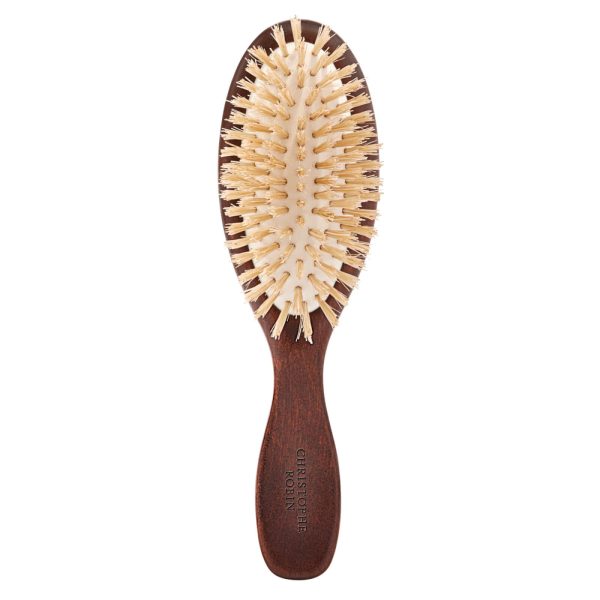 Travel Hairbrush