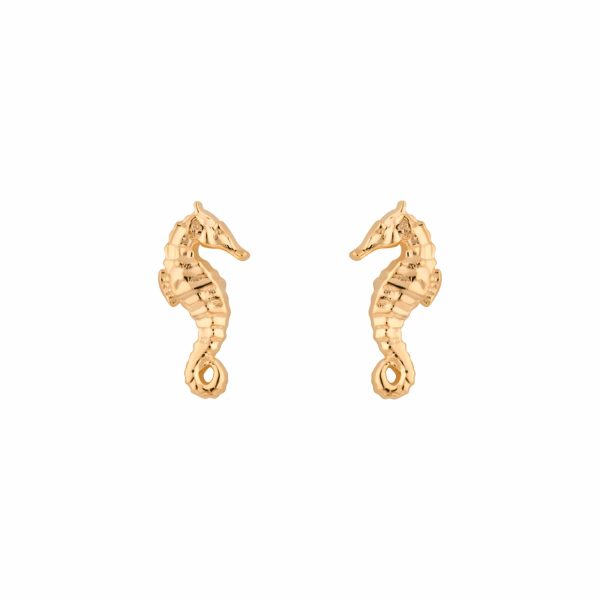 Gold Plated Seahorse Stud Earrings - Image 2