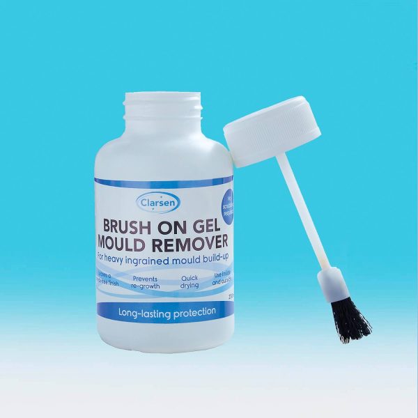 Brush On Mould Remover 250ml