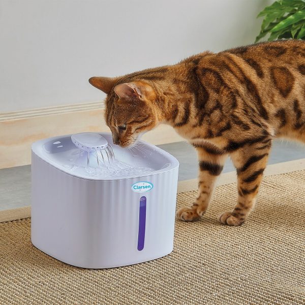 Pet Water Fountain H19.5 xW19.5 xD15.2cm