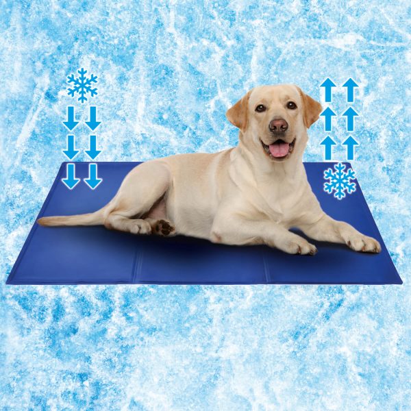 Pet Cooling Mat Blue 50 x 65cm