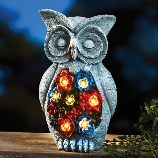 Solar Owl With Succulents