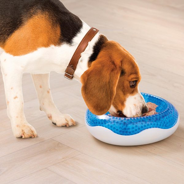 Cooling Dog Bowl H21 xW21 xD7.5cm, Non-slip Base