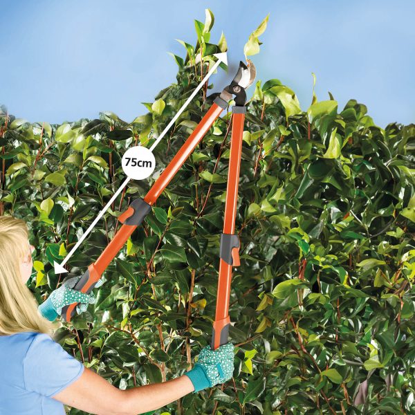 Set of Loppers & Secateurs – Loppers L86.5cm Max, Cut Branches Up to Dia. 2.5cm, Secateurs L20.5cm Cut Up to Dia. 1.3cm