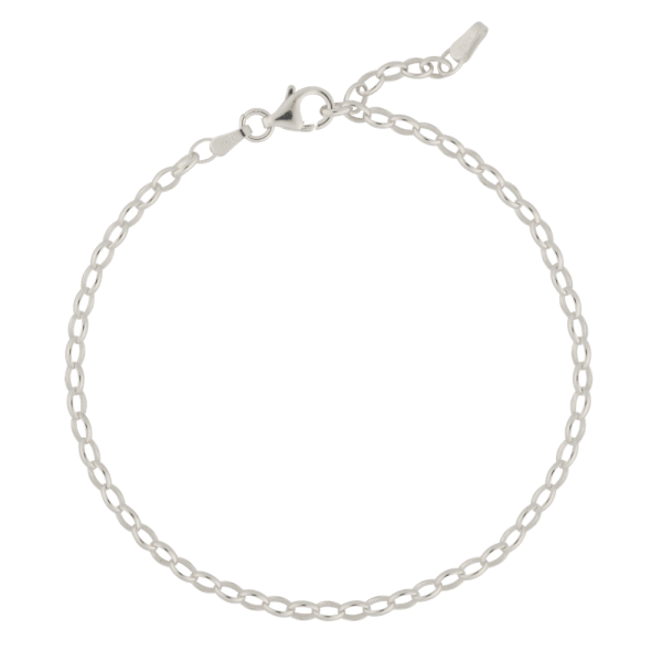 Silver Charm Bracelet - Image 2