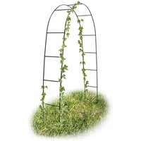 2m Green Powder Coated Steel Frame Garden Arch