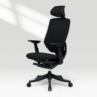 FlexiSpot BS12 PRO Multifunctional Adjustable Upgraded Ergonomic Office Chair ,Comfortable Fabric Desk Computer Chair with Arms and Back Support