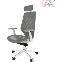 FlexiSpot BS11PRO Mesh Ergonomic Adjustable Office Chair ,Comfortable Computer Chair with Arms and Back Support for Study Office Gaming Works Grey