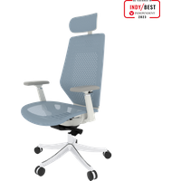 FlexiSpot BS11PRO Mesh Ergonomic Adjustable Office Chair ,Comfortable Computer Chair with Arms and Back Support Slove Back Pain Light Blue