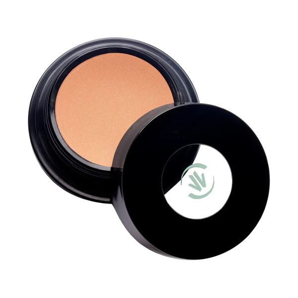 Vincent Longo Water Canvas Blush/Highlighter 'Lucky Light'