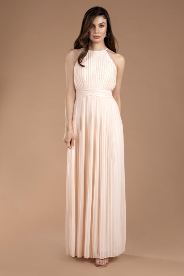 TFNC Serene Nude Maxi Dress