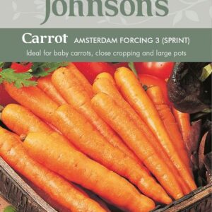 Johnsons Carrot Amsterdam Forcing 3 Sprint Seeds