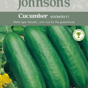 Johnsons Cucumber Socrates F1 Seeds