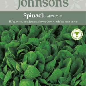 Johnsons Spinach Apollo F1 Seeds