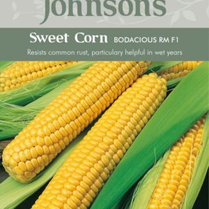 Johnsons Sweet Corn Bodacious RM Seeds