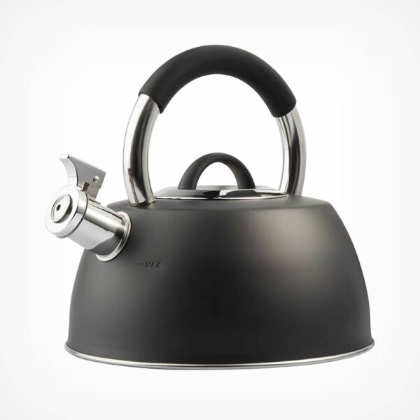 Black Stainless Steel Whistling Stove Top Kettle - 2.5L