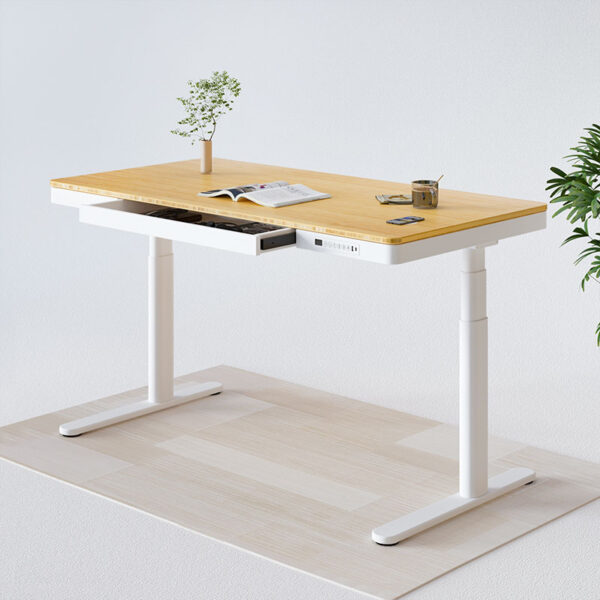 FlexiSpot Q8 Electric Adjustable Standing Desk with Drawer 8-in-1 Functional Standing Desk with Bamboo Desktop White