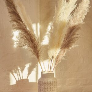 6 Stems Of Natural and Mink Pampas Grass