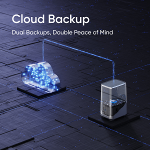 eufy Security Cloud Backup Basic Annually Service (1 device)  one-time purchase 1 device
