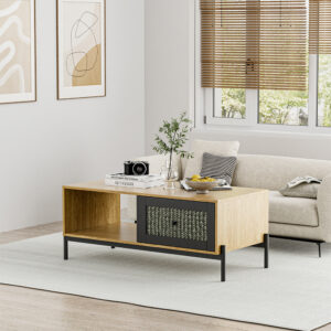Rattan Coffee Table with Storage for Living Room