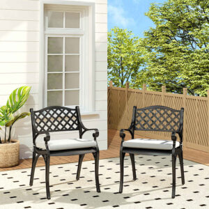 Black/ White Retro Set of 2 Cast Aluminum Garden Chairs