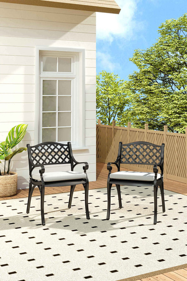 Black/ White Retro Set of 2 Cast Aluminum Garden Chairs