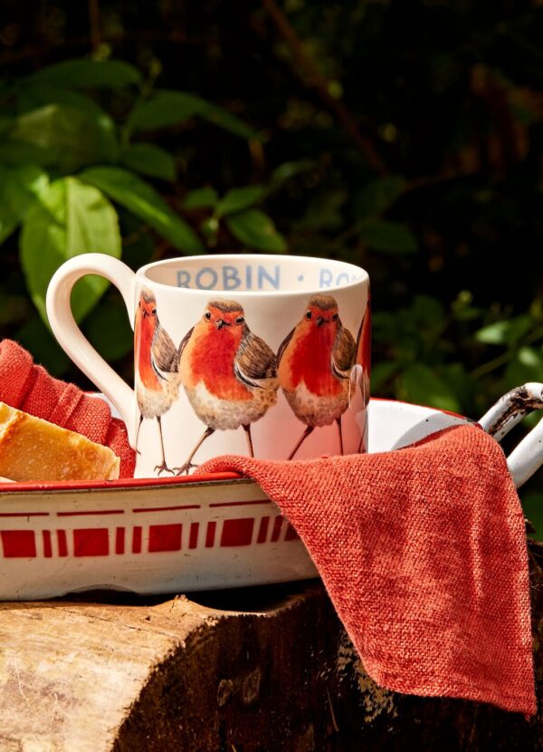 Emma Bridgewater  Seconds Birds Robin 1/2 Pint Mug - Unique Handmade & Handpainted English Earthenware Tea/Coffee Mug