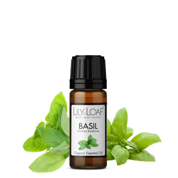 Basil Organic Essential Oil