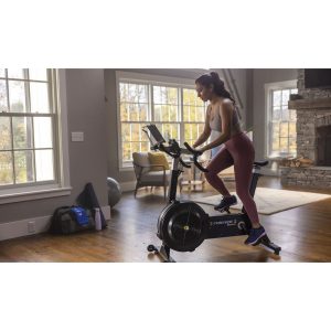 Concept2 BikeErg