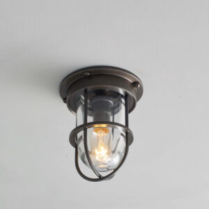 Davey Lighting Mini Ship's Companionway Light & Guard Weather Brass Clear
