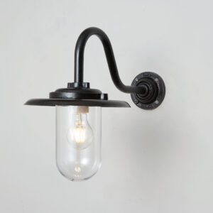 Davey Lighting Exterior Bracket Light, 100W, Swan Neck, Paint Black, Clear