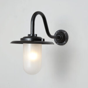 Davey Lighting Exterior Bracket Light, 100W, Swan Neck, Paint Black, Frost