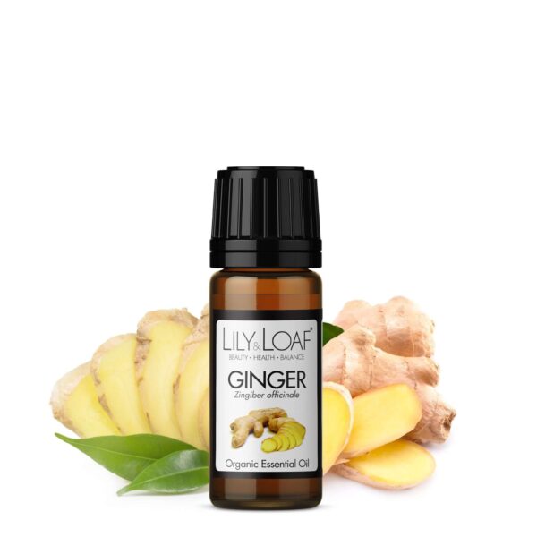 Ginger Organic Essential Oil