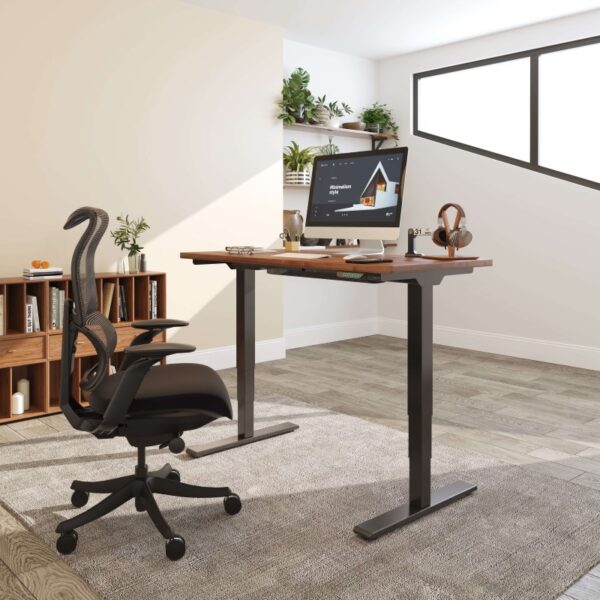 FlexiSpot E5 Electric Standing Desk Ergonomic Standing Desk for Home Office Study Gaming Black