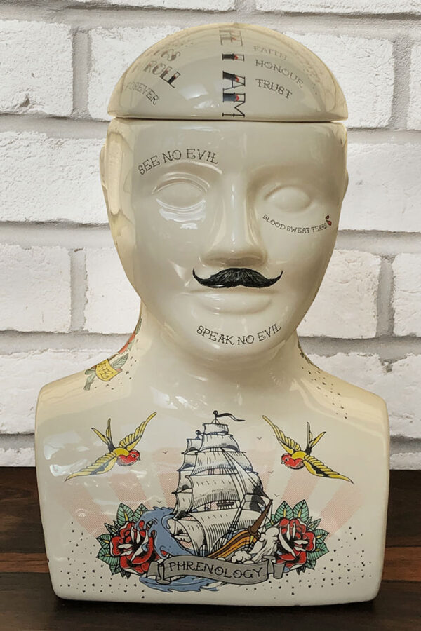 Large Phrenology Head