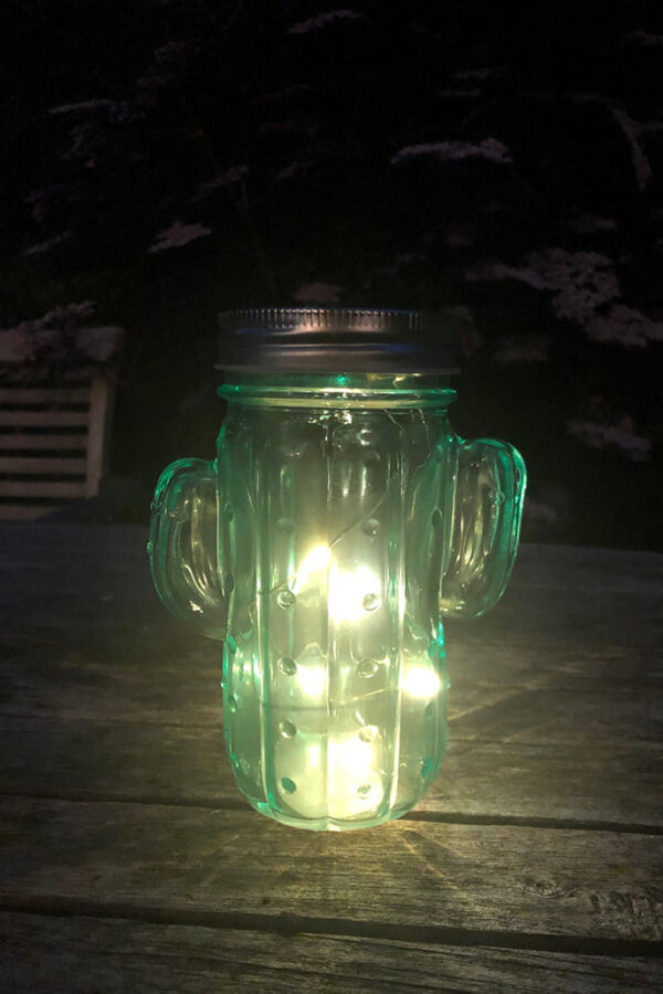 Led Cactus Shaped Glass Light