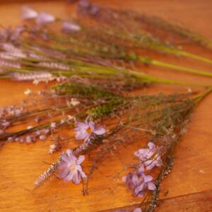 Set Of 6 Faux Wild Flower Stems