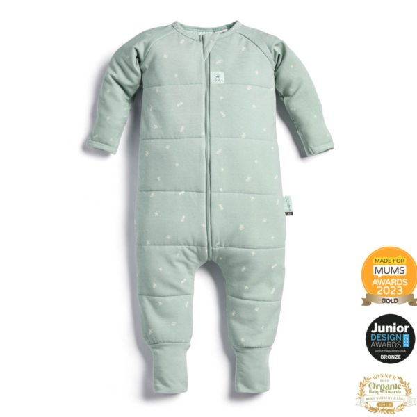 ergoPouch ErgoPouch - Organic Winter Long Sleeved Sleep Onesie - Sage - 2.5 TOG - 2-3 Year