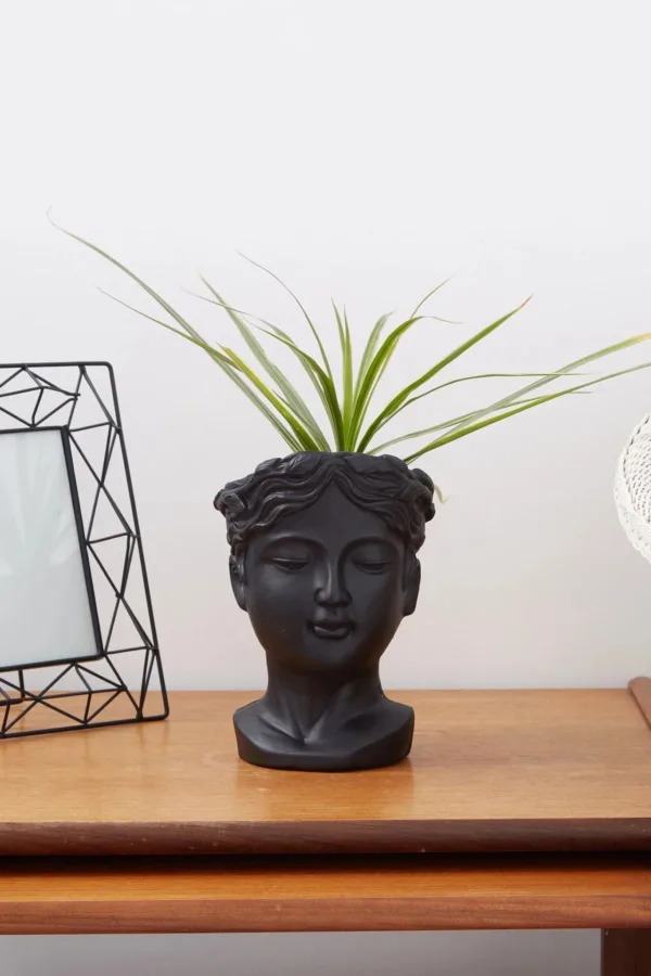 Medium Venus Head Planter in Black