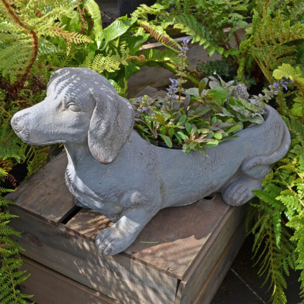 Sausage Dog Planter 30Cm Blue Iron Effect