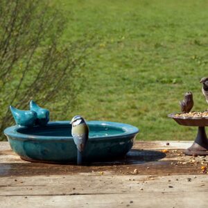 Ceramic Bird Bath Round Petrol Blue