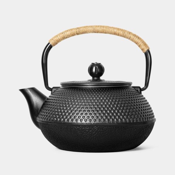 Japanese Cast Iron Teapot