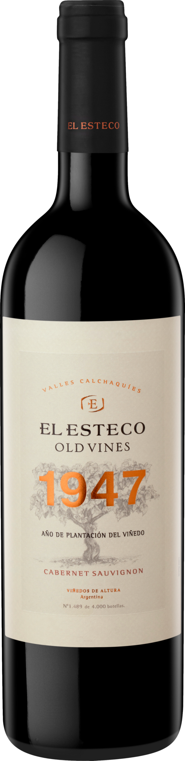 El Esteco Old Vines Cabernet Sauvignon 2019 - Image 2