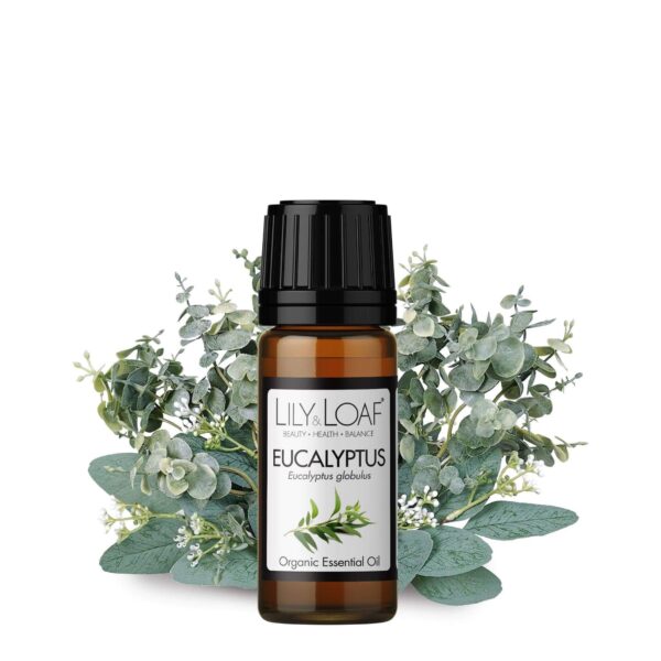 Eucalyptus Organic Essential Oil