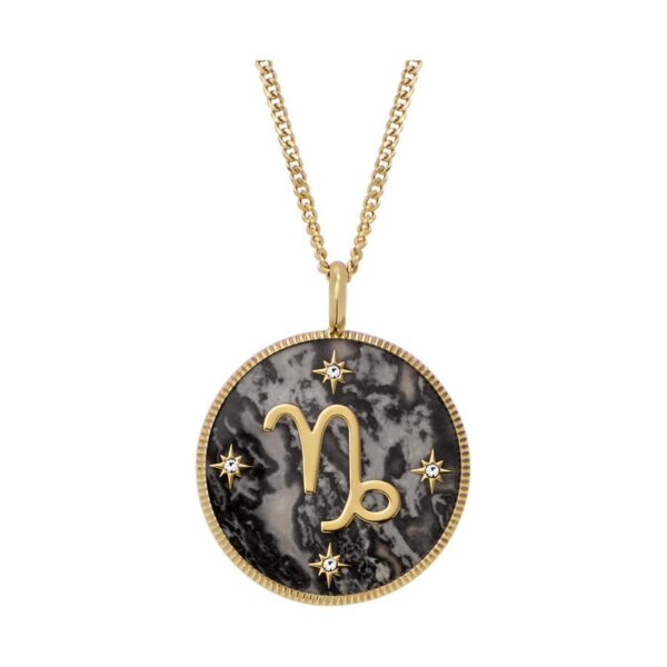 Fossil Written in the Stars Gold-Tone Stainless Steel Gray Hematite Capricorn Pendant Ladies Necklace JF04847710