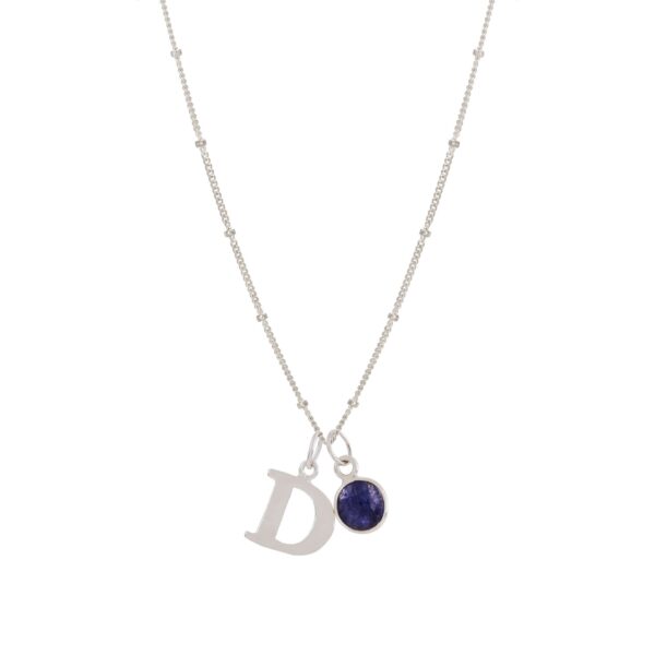 Initial Letter & Birthstone Charm Necklace