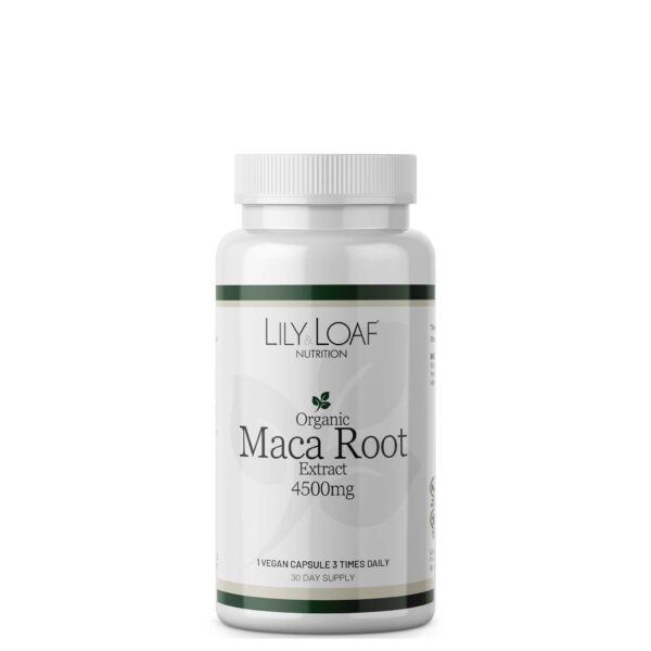 Maca Root Extract