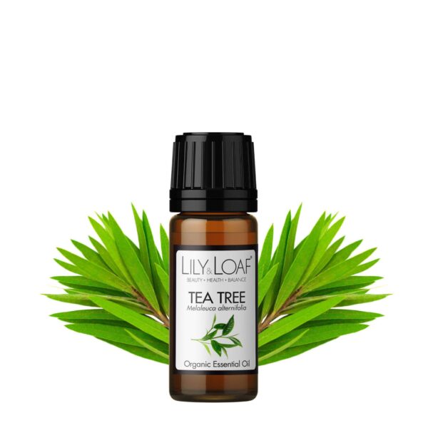 Tea Tree Organic Essential Oil