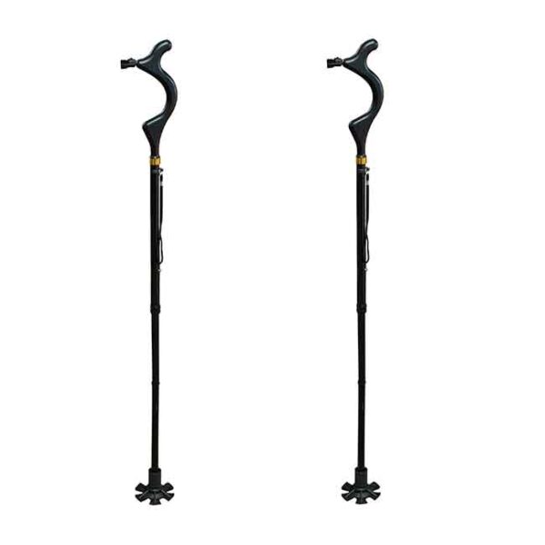 2 x Walking stick by Wellpro | Best Direct UK