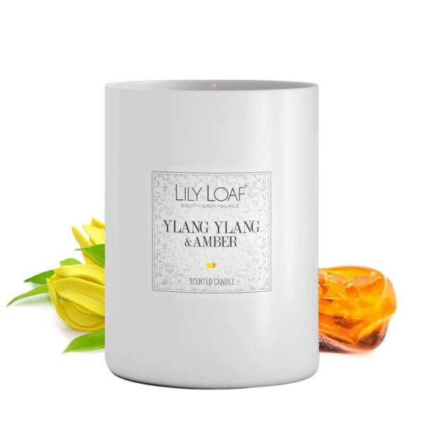 Ylang Ylang & Amber Soy Wax Candle